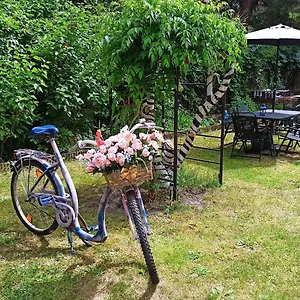 Retro & Garden Hostel